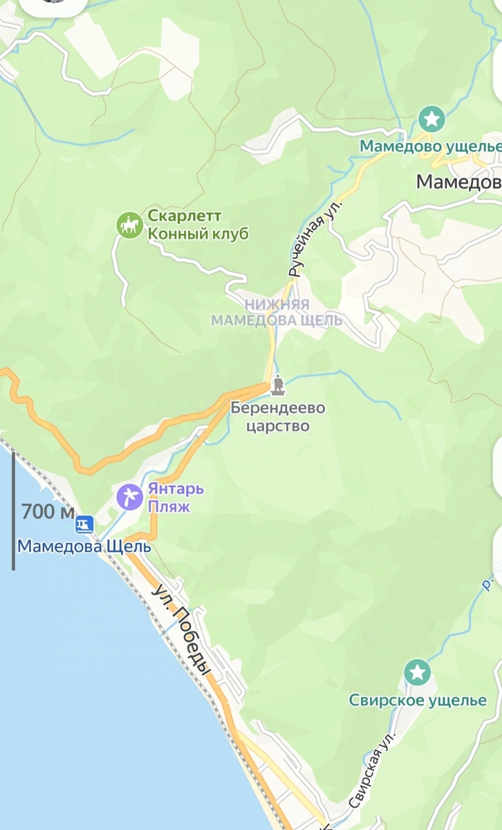 карта яндекса