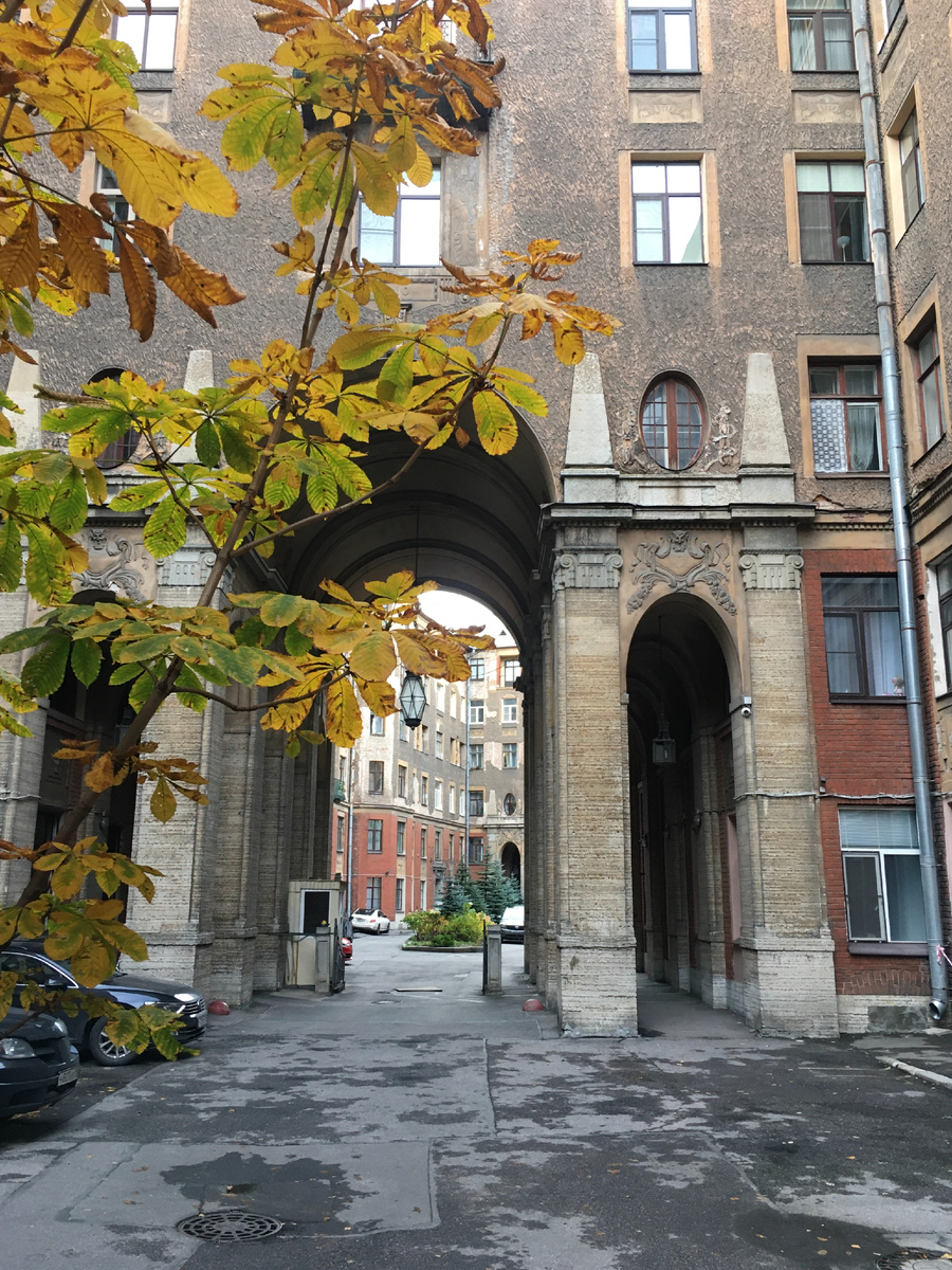 Каштан во дворе Толстовского дома