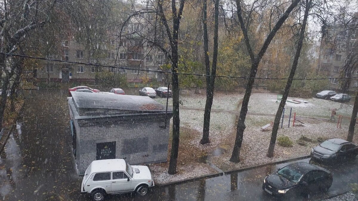     Источник: newsnn.ru