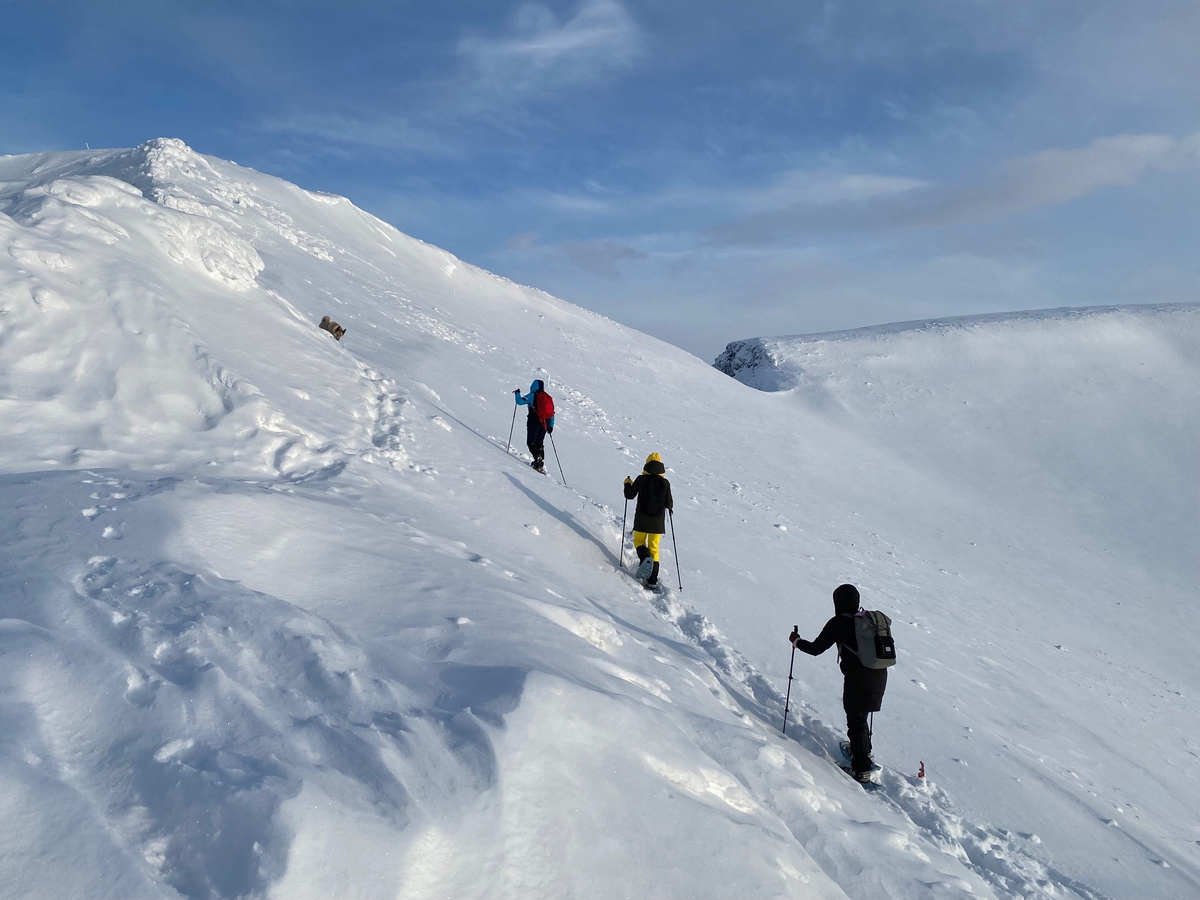 На горе Айкуайвенчорр в Хибинах 11 февраля 2024 года