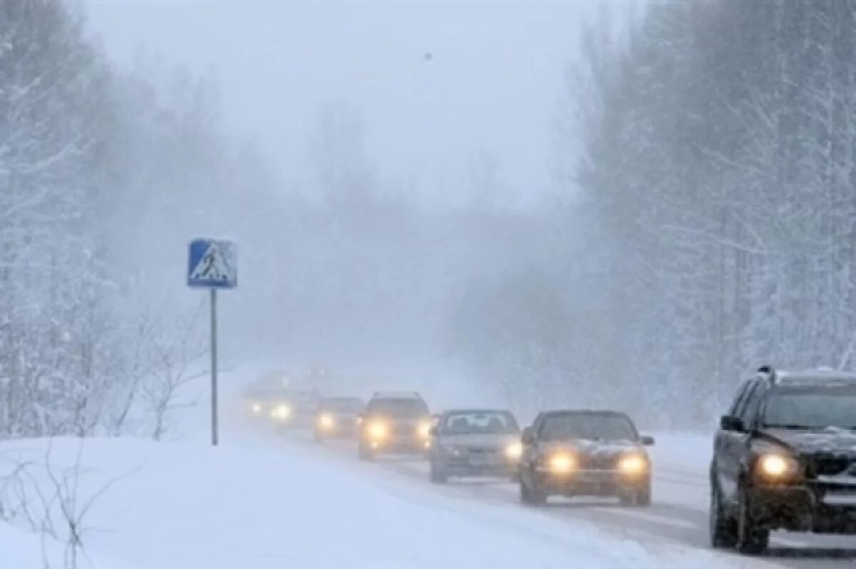    Южноуральских водителей призвали отложить дальние поездки из-за снегопада