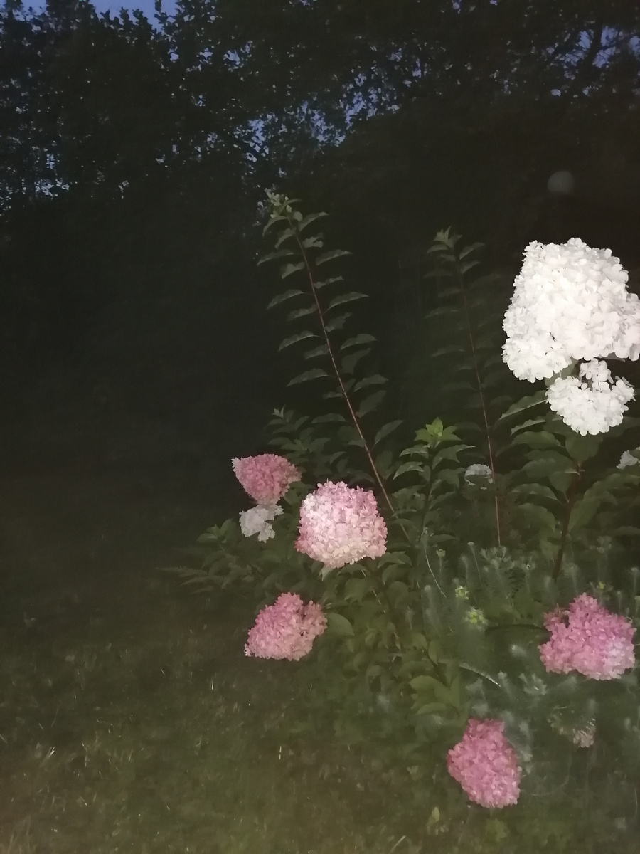 Ночью, когда сыро и почти туман