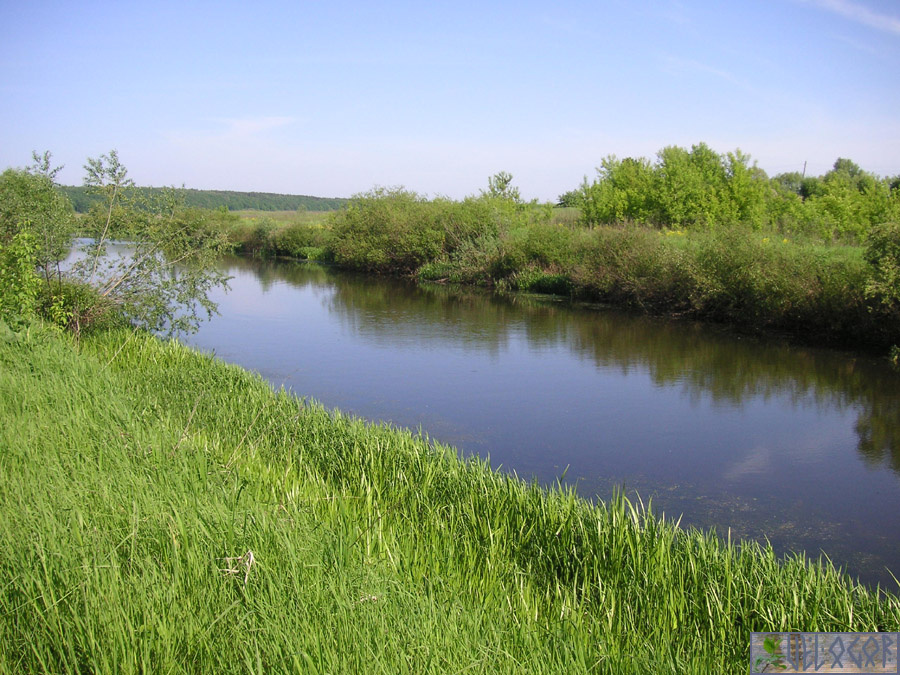 Озеро Лужки, первое
