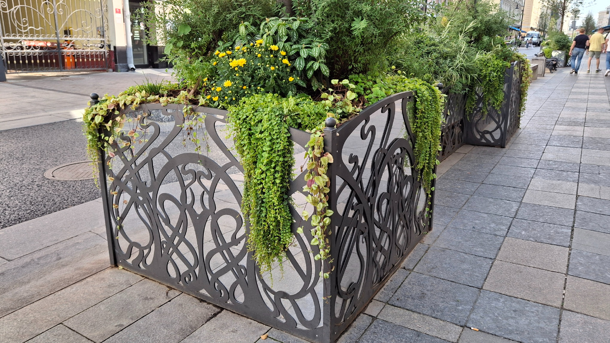 Цветочные композиции