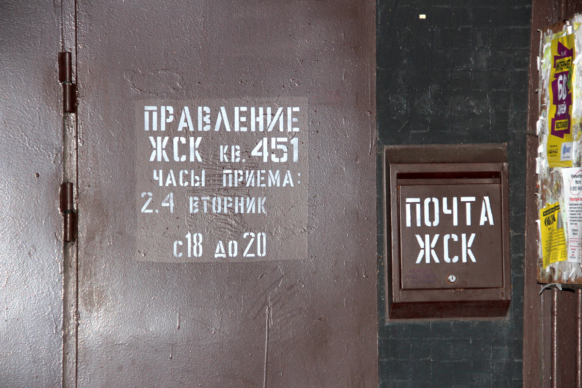 Фото: Татьяна Гоцуленко