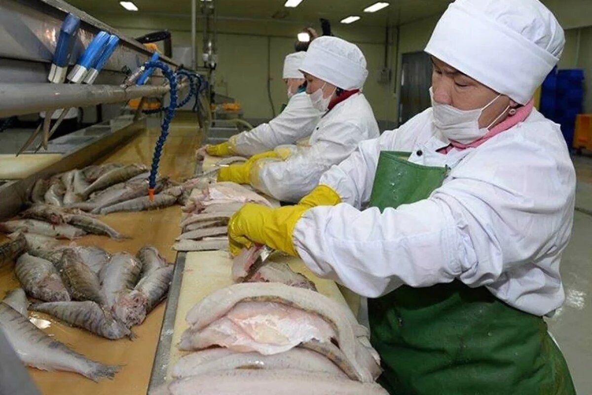 Открытый источник