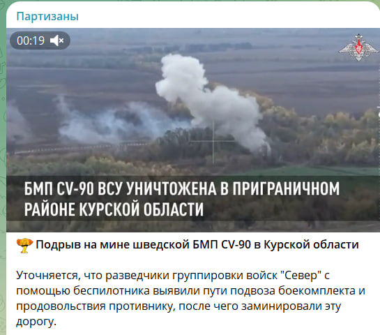    Скриншот: канал "Партизаны"