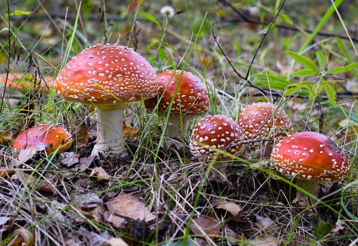 Автор фото Андрей Мещера