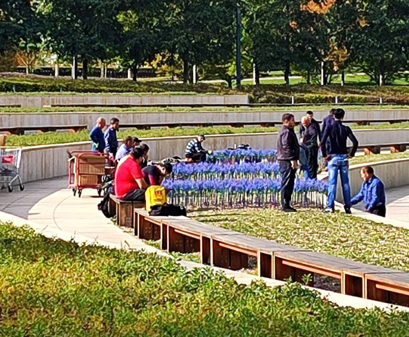    Фото: телеграм-канал Парк Галицкого Краснодар