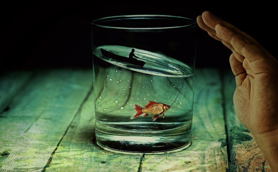 Фото Pixabay по лицензии CCO