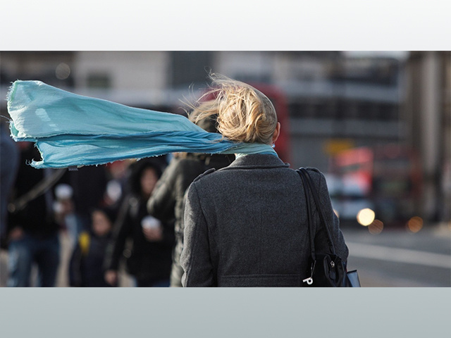 Снег и почти штормовой ветер придут в Тверскую область