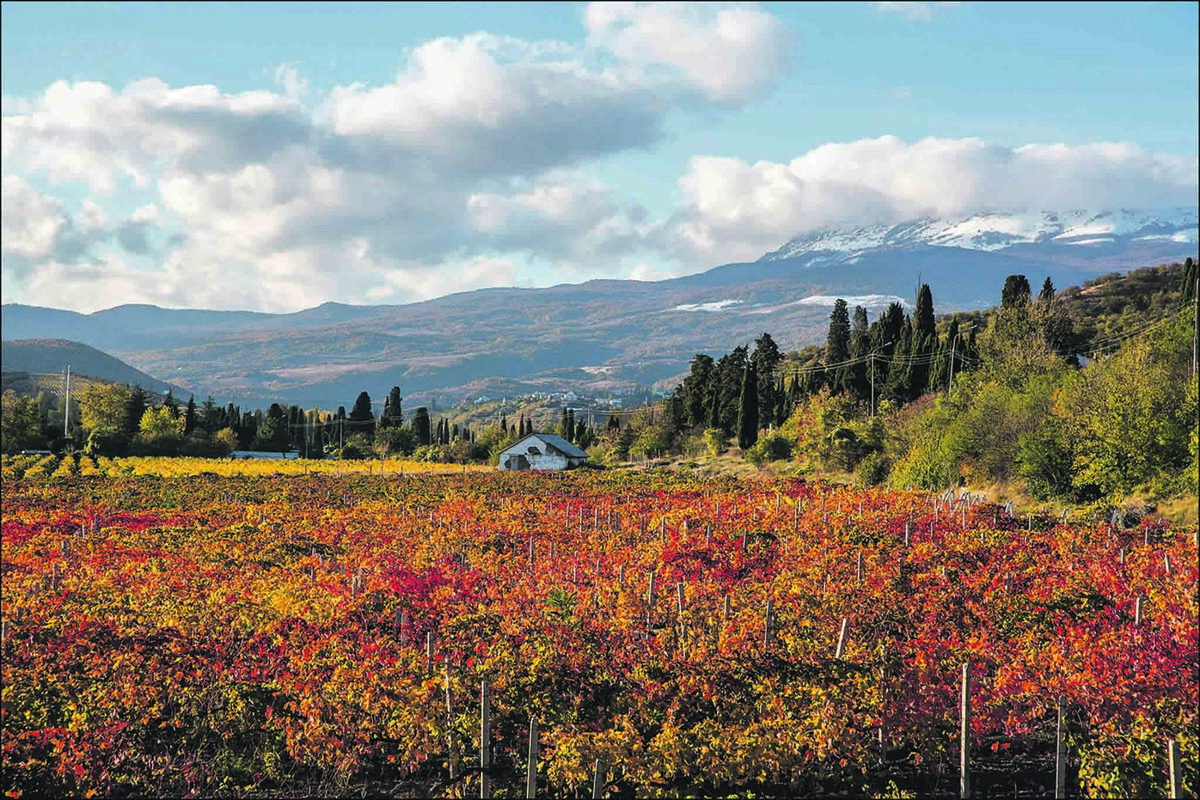 Автор: Sergei Anashkevich