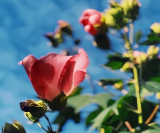    Фото: Telegram/Парк «Ривьера»