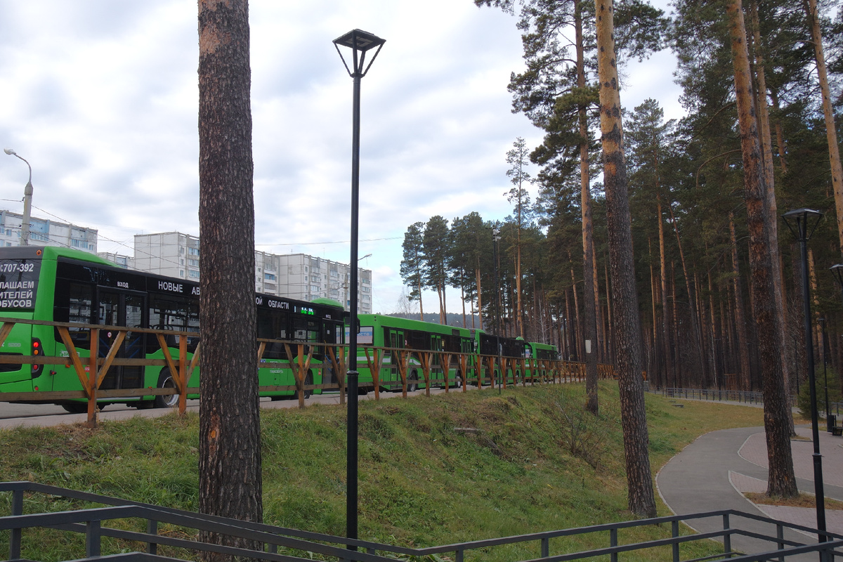 микрорайон Зелёный на этом фото оправдывает своё название