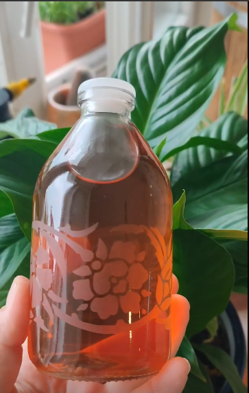 Клубничный уксус