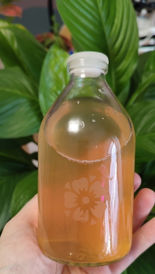 Яблочный винный уксус