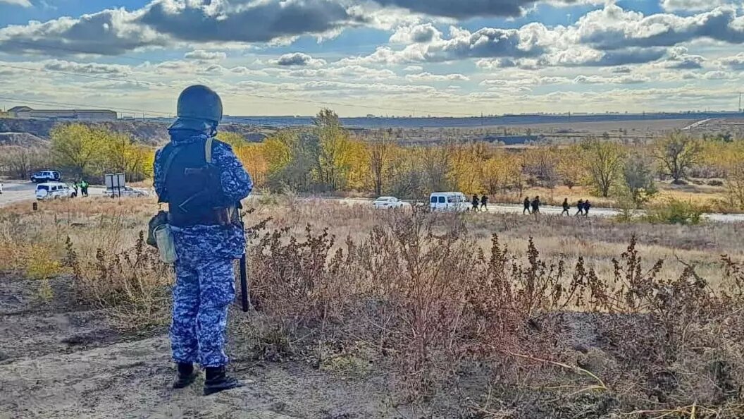     Источник: ГУ МВД по Волгоградской области