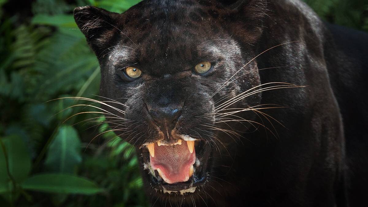    Фото: shutterstock