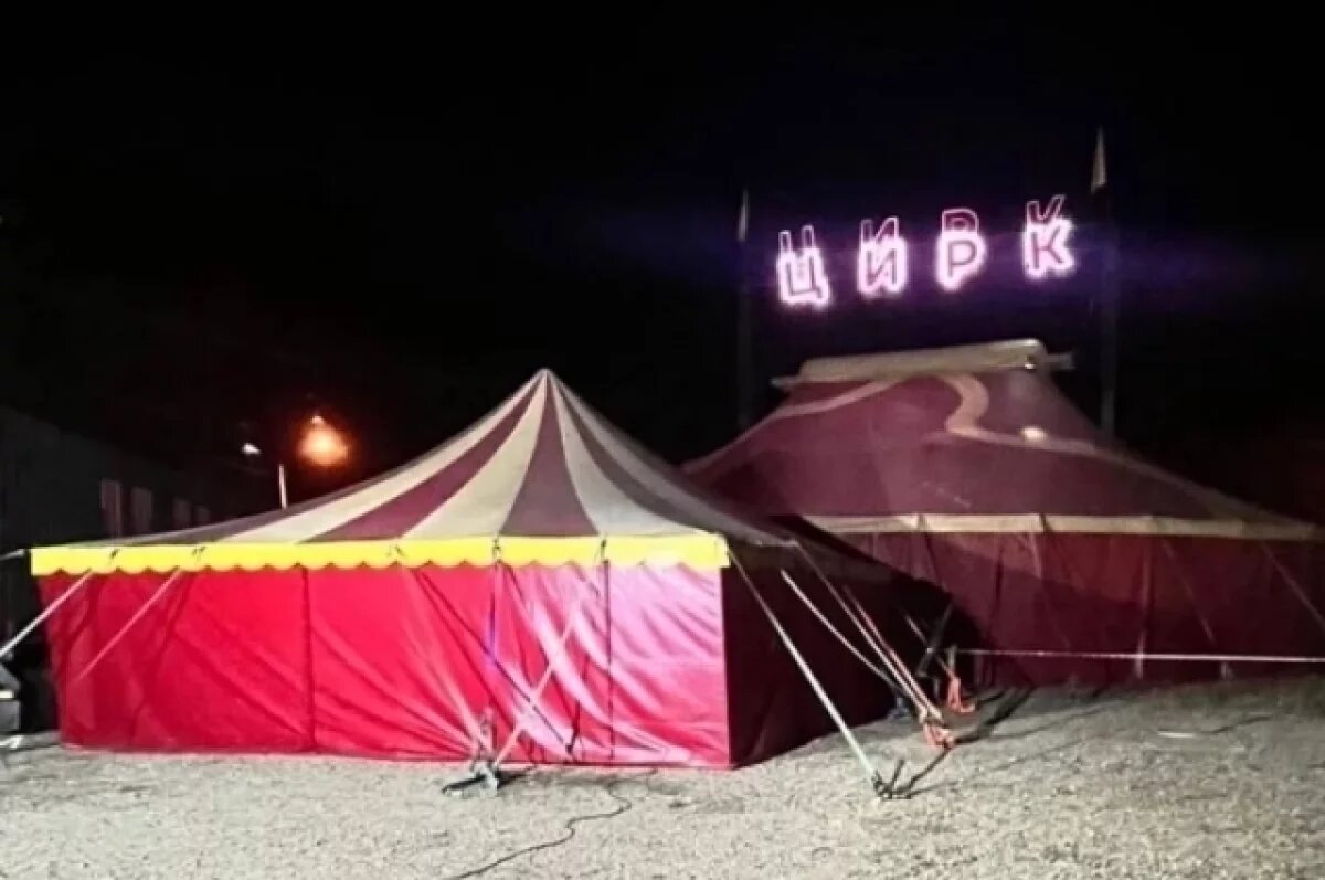    Мама малыша, укушенного пантерой, хочет лишить родительских прав его отца