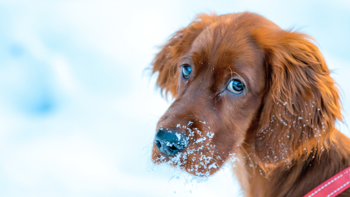 Я понимаю, что сильно рискую, поднимая такую неоднозначную тему. Тем не менее нужно понимать: правила необходимы, а их нарушение будет иметь последствия. Фото Gary Sandoz/Unsplash