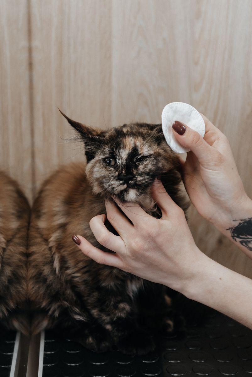 Чистим ушки бережно