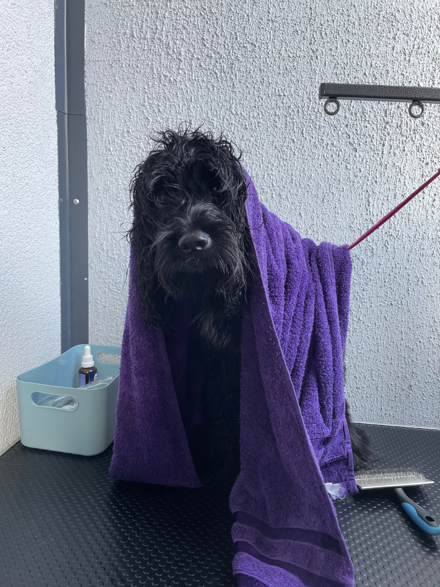 Это обычное полотенце, а фото для настроения