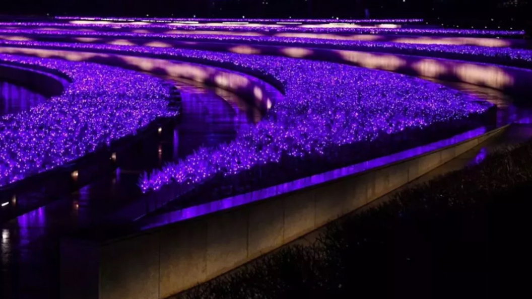    Фото: t.me/parkkrd