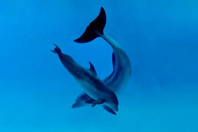    Фото: mos.ru Анастасия Давыдова