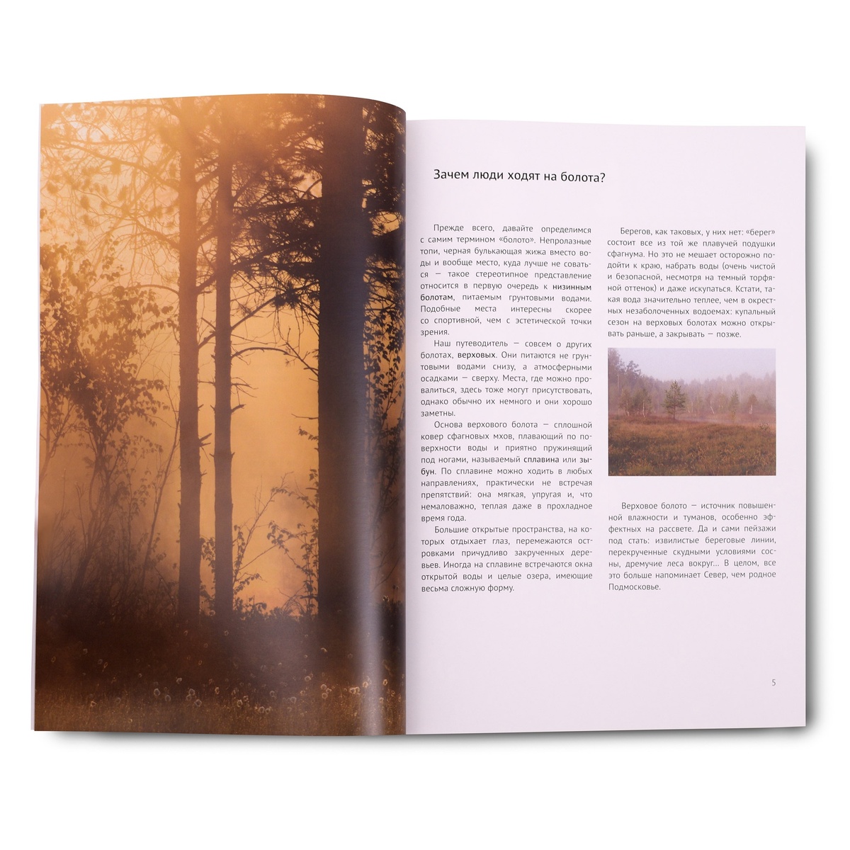 Верховые болота Подмосковья. Фотопутеводитель