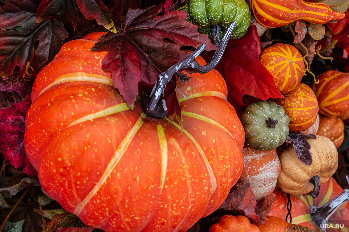 Хэллоуин по традиции ассоциируется с тыквой. Фото: Илья Московец © URA.RU