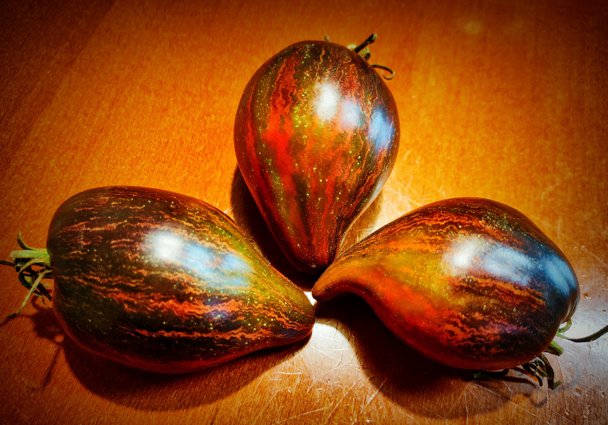 Мятежный звездный истребитель 