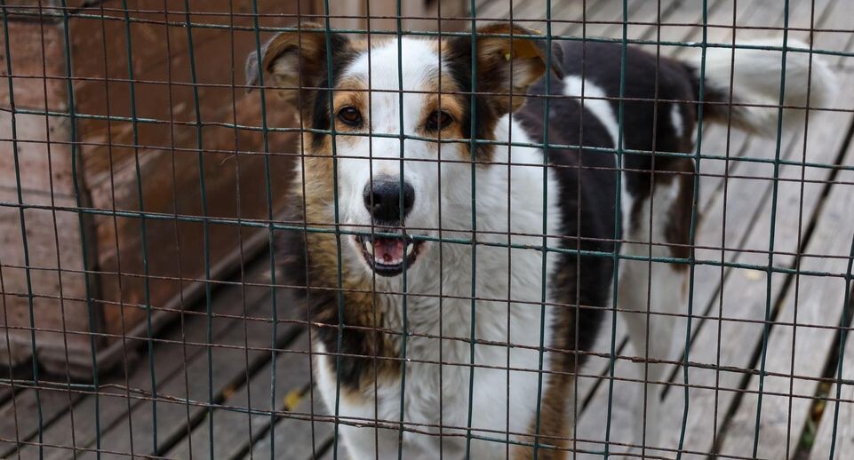    Elena Mayorova/Global Look Press