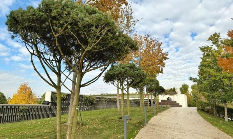    Фото t.me/parkkrd