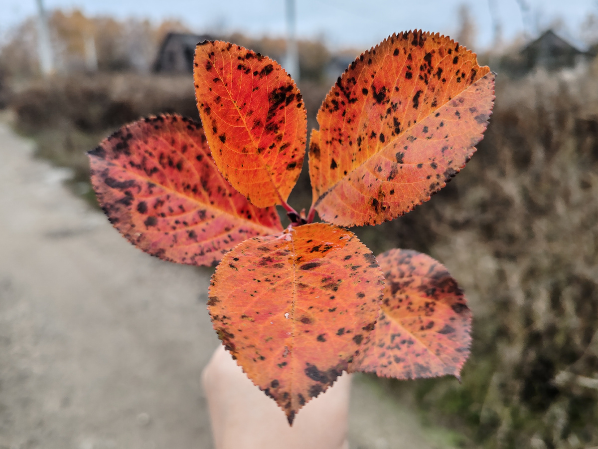 Фото автора канала. 
