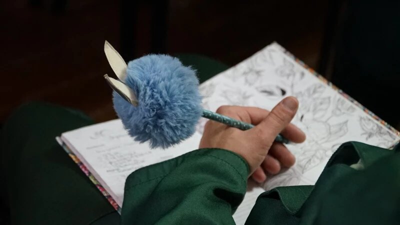     Бизнес-тренинг в ИК-6 в Шипуново. Пресс-служба УФСИН по Алтайскому краю