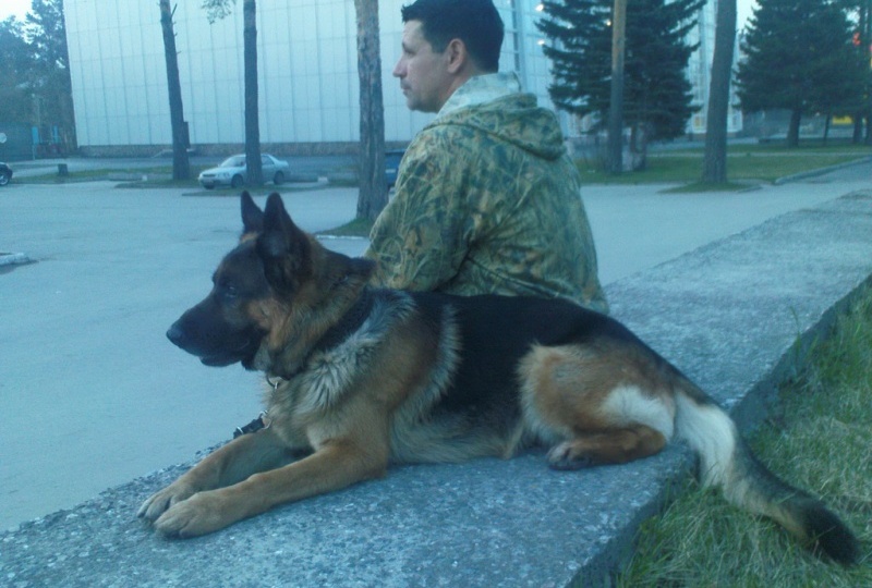 Настоящий, верный, преданный