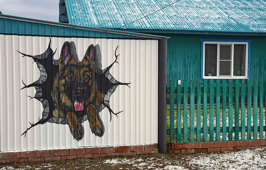 Дом Игумновых  можно найти без посторонней помощи по рисункам на  заборах. Фото Бориса Слепнева