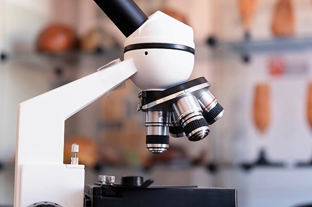    Участники исследования регулярно сдают образцы. Фото: АиФ - Тюмень