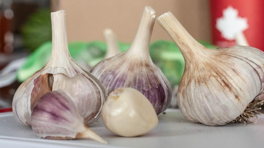 Так выглядит правильно сохраненный чеснок через полгода после сбора