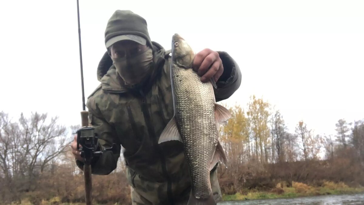     Источник: Андрей Рыбак