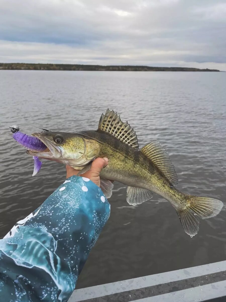     Источник: Николай Махов