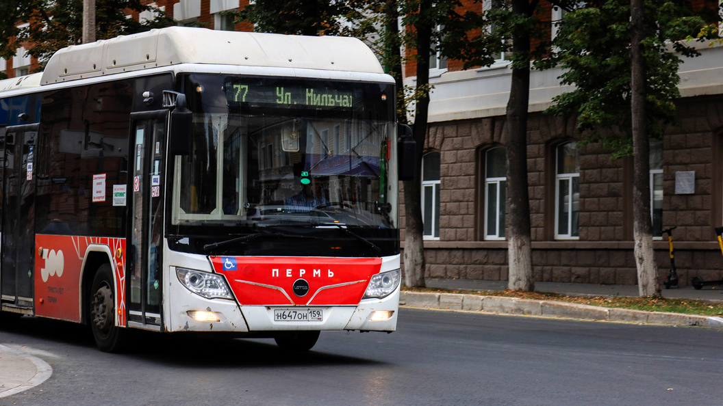    Elena Mayorova/Global Look Press