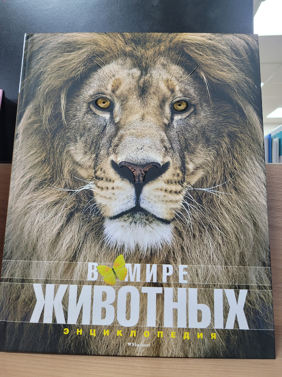 Не ленитесь лишний раз почитать книгу про животных своим детям и рассказать про правила техники безопасности, которые должны соблюдаться в зоопарке, как родителями, так и детьми.