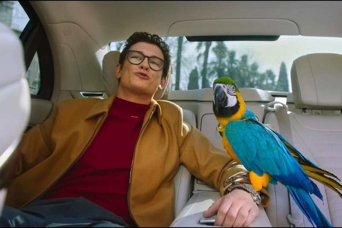    Никита Кологривый и попугай Геша, исполнивший роль Кеши. Ара – очень чистоплотные птицы, так что Геша не позволял себя ходить в туалет прямо во время рабочего процесса. Он не испачкал ни партнёров, ни реквизит. Предоставлено "Инфинити контент"