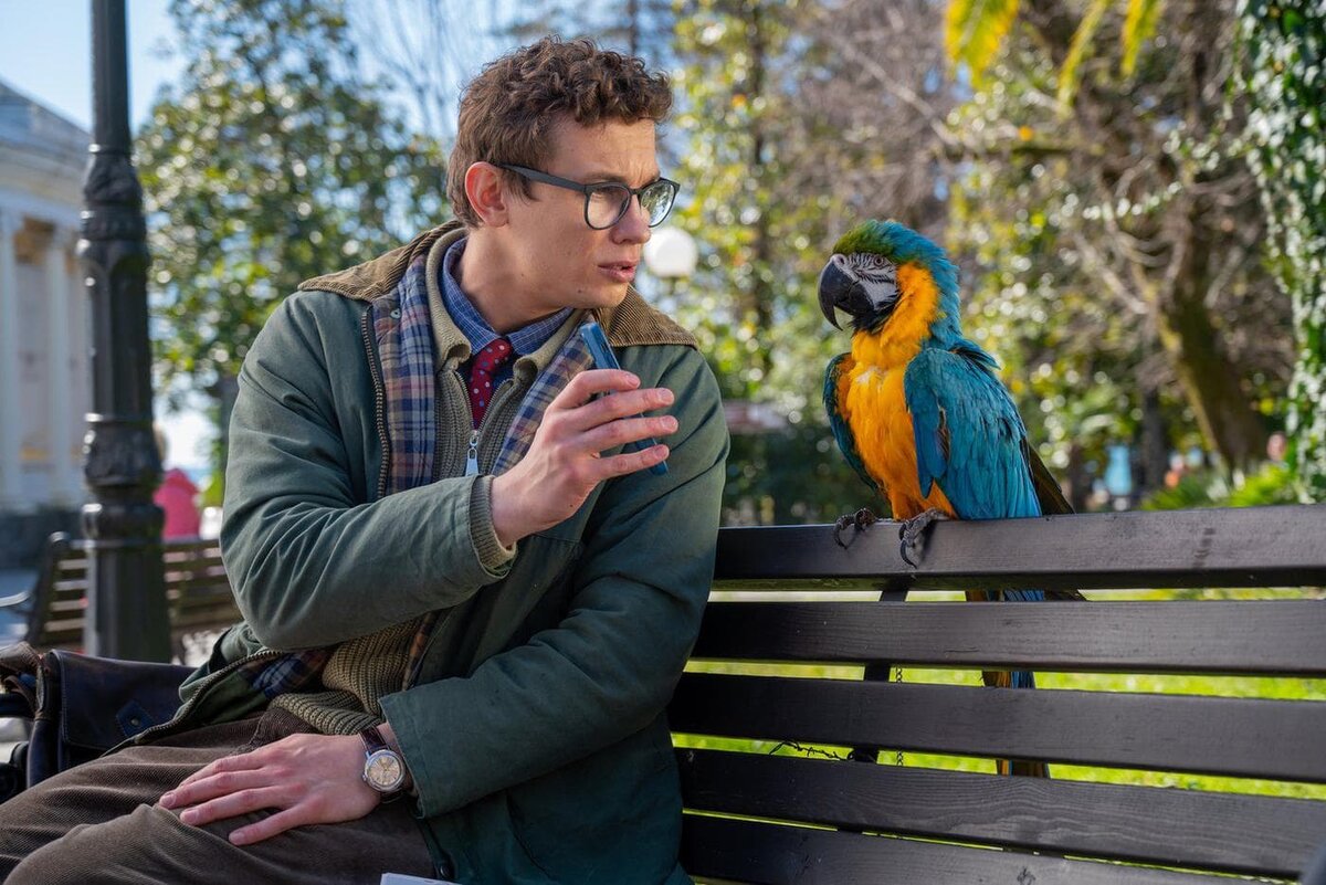    Попугай Кеша оказался представителем старинного рода.Предоставлено "Инфинити контент"