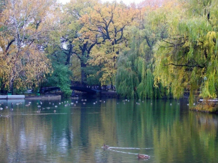 Летом здесь много лодочек катается