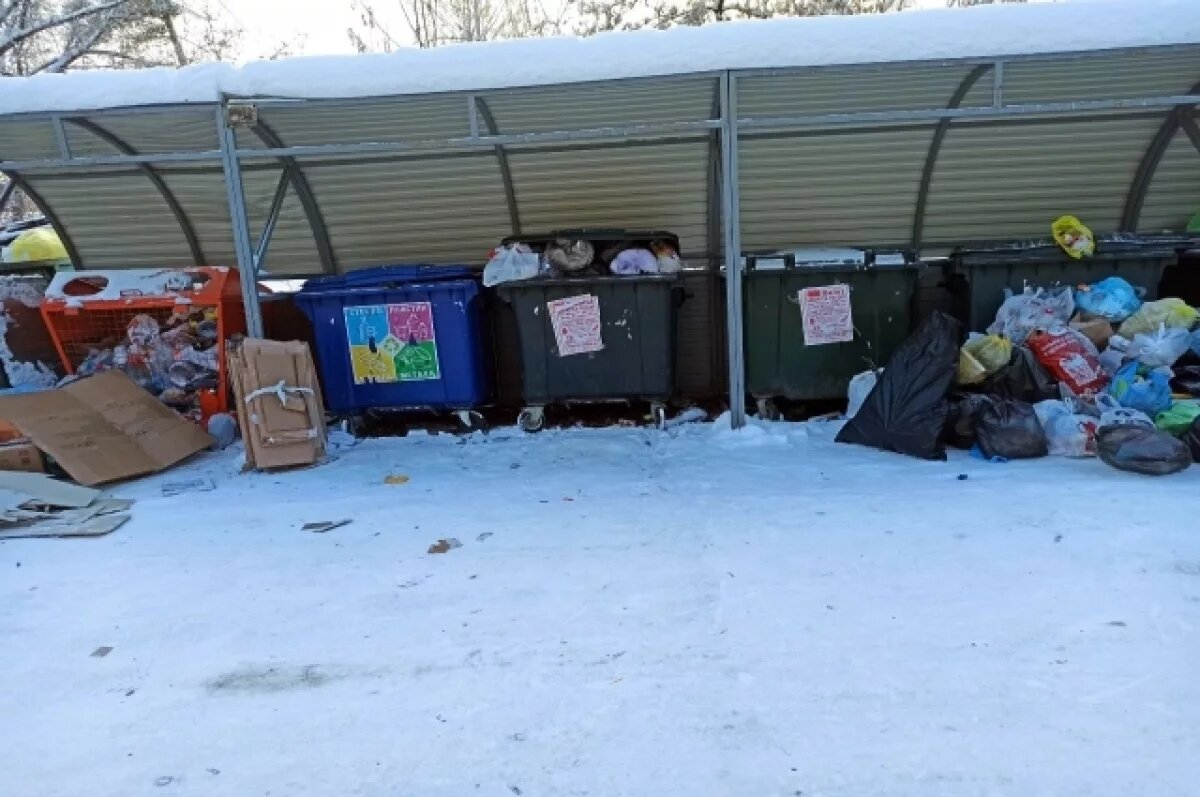    Прокуратура Салехарда выявила нарушения частоты вывоза мусора