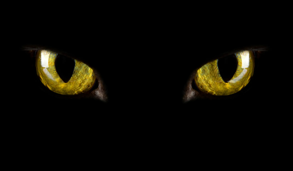 - Я тебя вижу!