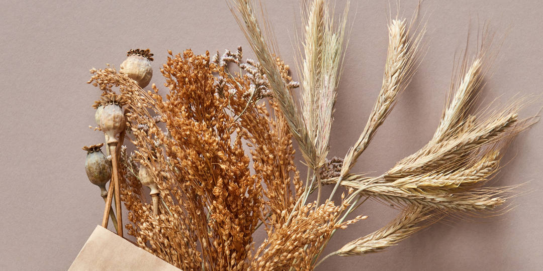 5 видов сухоцветов, которые можно собрать и заготовить самостоятельно