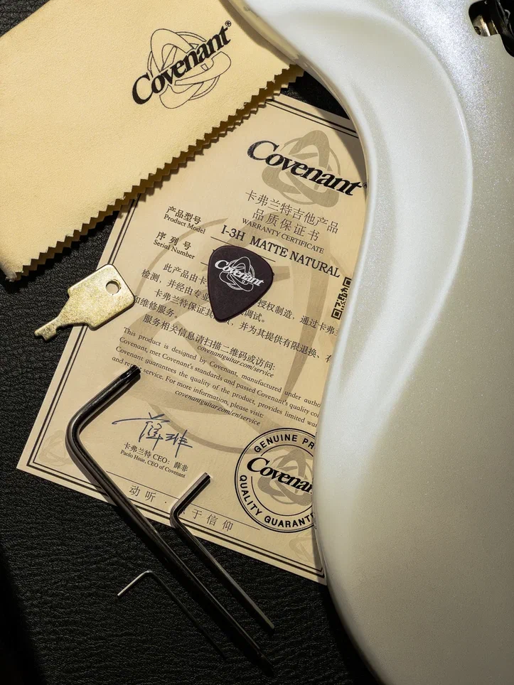 Комплектация кастомных электрогитар Covenant CUSTOM MODEL